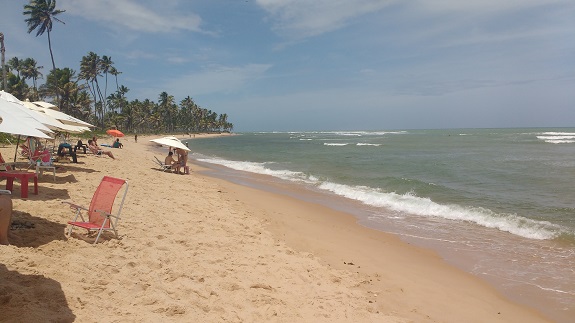 7-motivos-para-visitar-a-praia-do-forte-com-criancas