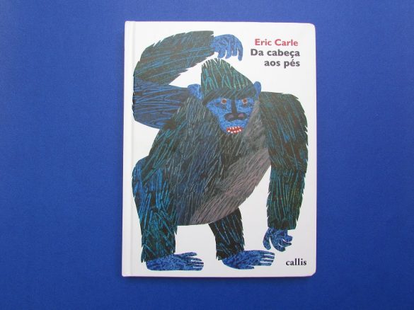 livro-da-cabeca-aos-pes