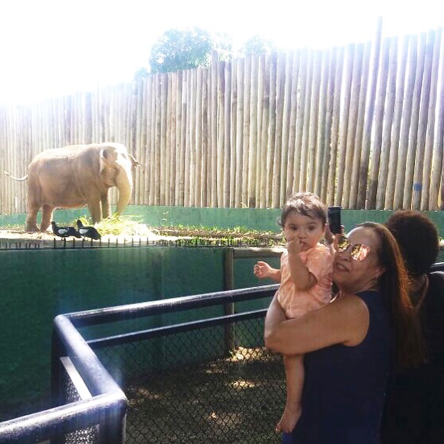 programacao-de-ferias-2018-zoologico-rj