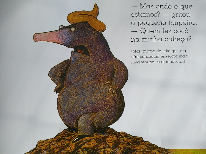 livro-da-pequena-toupeira