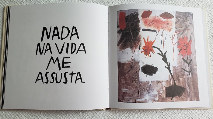 livro-nada-na-vida-me-assusta-opiniao